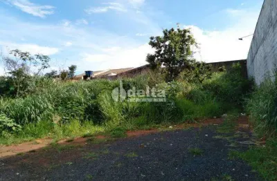 Terreno disponível para locação no bairro dona zulmira em uberlândia-mg