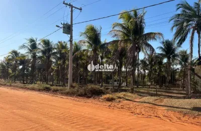 Chácara com 3 quartos disponível para locação no bairro jockey camping em uberlândia-mg.