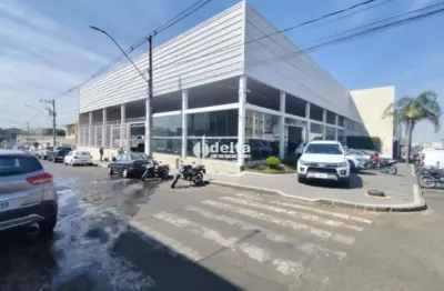 Ponto comercial com 875m² de área útil e 1.725m² de área total disponível para locação no bairro brasil em uberlândia-mg.