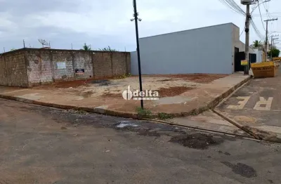 Terreno de esquina com  156m² disponível para aluguel no bairro minas gerais em uberlândia - mg.