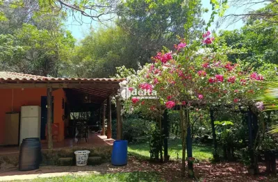 Chácara com 4 quartos disponível para locação e venda no bairro chácaras oliveira em uberlândia-mg.