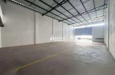 Galpão comercial disponível para locação e venda no bairro custódio pereira em uberlândia-mg.