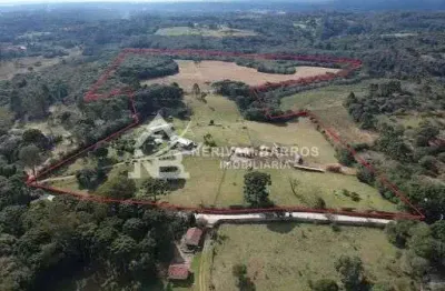 Chácara com 1 dormitório à venda, 28712900 m² por r$ 8.000.000,00 - capoeira dos dinos - piraquara/pr