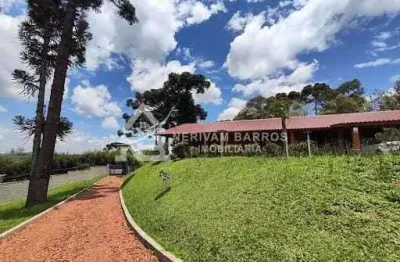 Chácara com 4 dormitórios à venda, 4020 m² por r$ 1.500.000,00 - planta meireles - piraquara/pr