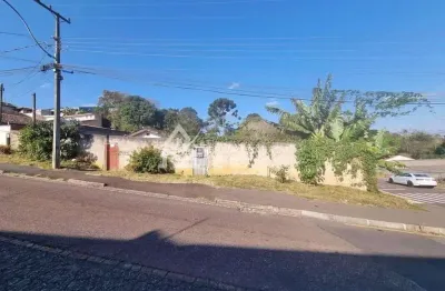 Terreno residencial à venda, vila rosa, piraquara - te0071.