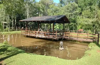 Chácara com 3 dormitórios à venda, 4232 m² por r$ 1.800.000,00 - planta laranjeiras - piraquara/pr