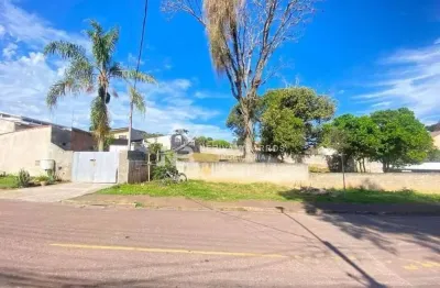 Terreno residencial à venda, vila rosa, piraquara - te0032.