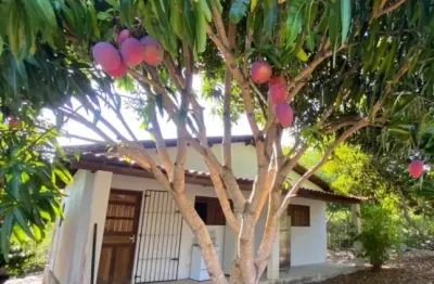 Chácara em lucena com 4.600m², casa e árvores frutíferas