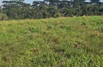 Chácara / sítio à venda na Estrada Salto Do Engenho, Centro, Campo Alegre