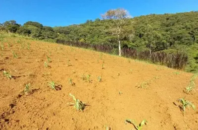 Terreno à venda na Estrada Geral, 001, Santa Tereza, São Pedro de Alcântara