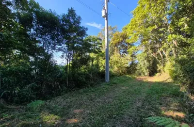 Sítio para venda em são pedro de alcântara/sc - si283