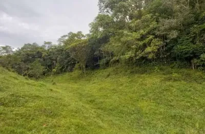 Chácara / sítio à venda na Estrada Geral De Barro Branco, S/N, Barro Branco, São Pedro de Alcântara