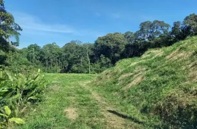 Chácara / sítio à venda na Estrada Geral, 1, Barro Branco, São Pedro de Alcântara