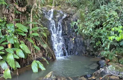 Chácara / sítio à venda na Estrada Geral De Santa Filomena, S/N, Santa Filomena, São Pedro de Alcântara