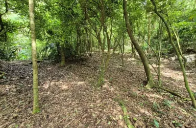 Chácara / sítio à venda na Estrada Geral De Barro Branco, 1, Barro Branco, São Pedro de Alcântara