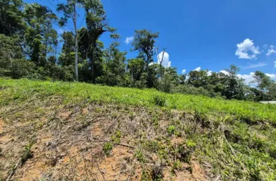 Chácara / sítio à venda na Estrada Geral Do Barro Branco, S/N, Barro Branco, São Pedro de Alcântara