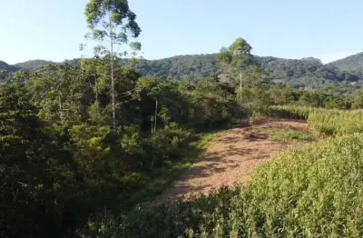 Chácara / sítio à venda na Estrada Geral De Santa Filomena, S/N, Santa Filomena, São Pedro de Alcântara