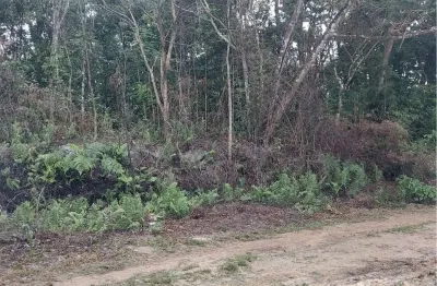 Chácara / sítio à venda na Av Padre Anchieta, 6840, Jardim São Fernando, Itanhaém