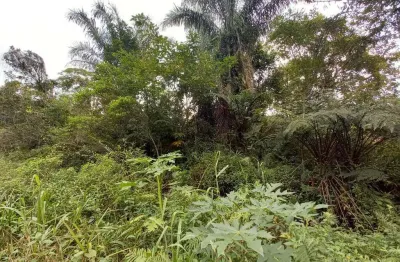Terreno à venda no Jardim São Francisco, Peruíbe 