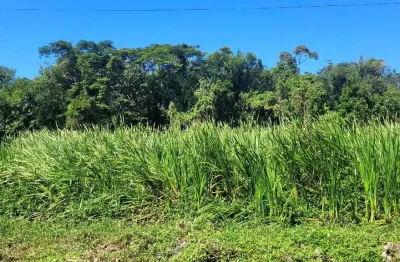 Terreno à venda no Bambu, Peruíbe 