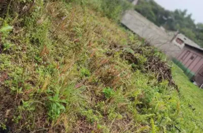 Terreno à venda no Palmeiras II, Itanhaém 