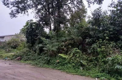 Terreno para venda em itanhaém, jardim coronel lote com 250 m² de área total.