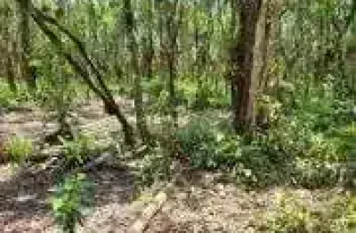 Chácara / sítio à venda no Balneário Gaivota, Itanhaém 