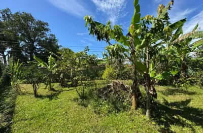 Terreno à venda na Av. Padre Anchieta, 6840, Jardim das Palmeiras, Itanhaém