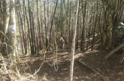 Fazenda para venda no bairro itapirapuâ paulista, 2420000 m