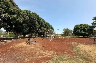 Chácara à venda, 6000 m² por r$ 550.000 - frei timóteo - jataizinho/pr