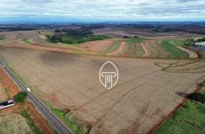 Sítio à venda, 11 alqueires por r$ 11.000.000 - zona rural - londrina/pr