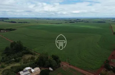Fazenda à venda, 83 alqueires por r$ 39.000.000 - rural - iracema do oeste/pr