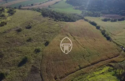 Sítio à venda, 484000 m² por r$ 2.000.000,00 - zona rural - assaí/pr