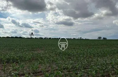 Sítio à venda, 10 alqueires por r$ 10.000.000 - bratislava - cambé/pr