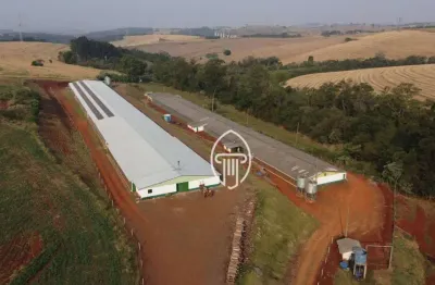 Sítio à venda, 72600 m² por r$ 4.000.000,00 - zona rural - londrina/pr