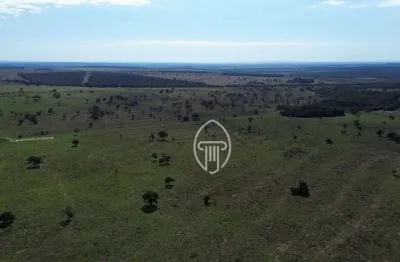 Fazenda à venda, 700 hectares por r$ 17.500.000 - zona rural - coxim/ms