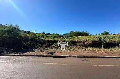 Terreno à venda, 700 m² por r$ 250.000 - esperança - ibiporã/pr