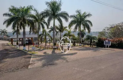 Chácara à venda, 3967 m² por r$ 400.000 - riviera do nascente - alvorada do sul/pr