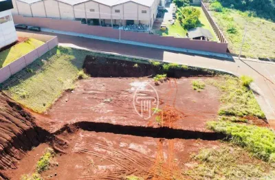 Terreno à venda, 1300 m² por r$ 550.000 - san rafael - ibiporã/pr
