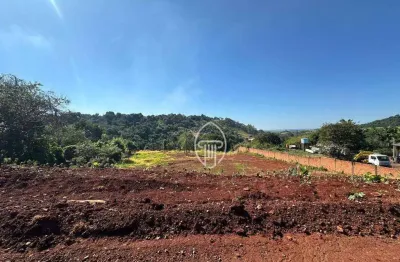 Chácara à venda, 3000 m² por r$ 500.000 - condomínio horizontal marajoara - ibiporã/pr