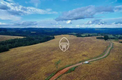 Fazenda à venda, 400 alqueires por r$ 65.000.000 - zona rural - tamarana/pr