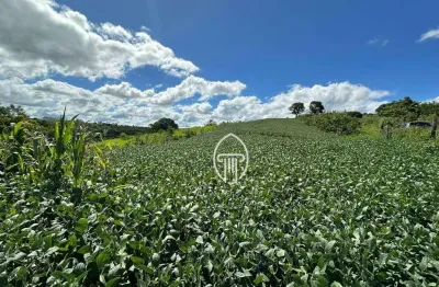 Sítio à venda, 16 alqueires por r$ 3.300.000 - rural - urai/pr