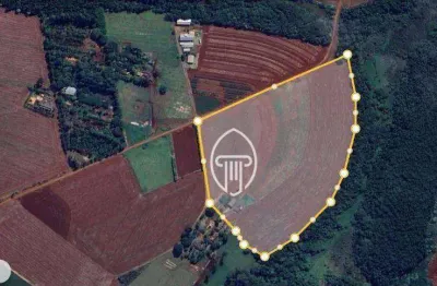 Sítio à venda, 6 alqueires por r$ 4.800.000 - zona rural - cambé/pr