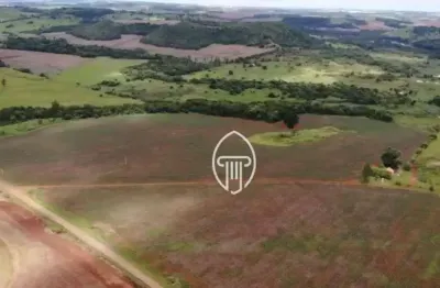 Fazenda à venda, 77 alqueires por r$ 19.000.000 - rural - jataizinho/pr