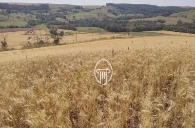 Fazenda à venda, 106 alqueires por r$ 19.000.000 - zona rural - abatia/pr