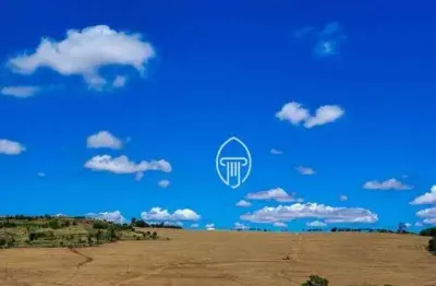 Sítio à venda, 7 alqueires por r$ 2.500.000 - zona rural - rolândia/pr