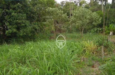 Chácara à venda, 3000 m² por r$ 300.000 - zona rural - londrina/pr