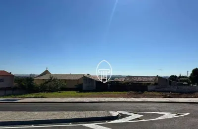 Terreno à venda, 1050 m² por r$ 650.000,00 - centro - ibiporã/pr