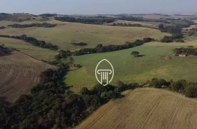 Fazenda à venda, 70 alqueires por r$ 24.500.000 - rural - sertanópolis/pr