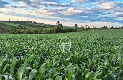 Sítio à venda, 5 alqueires  por r$ 600.000 - zona rural - terra nova/pr